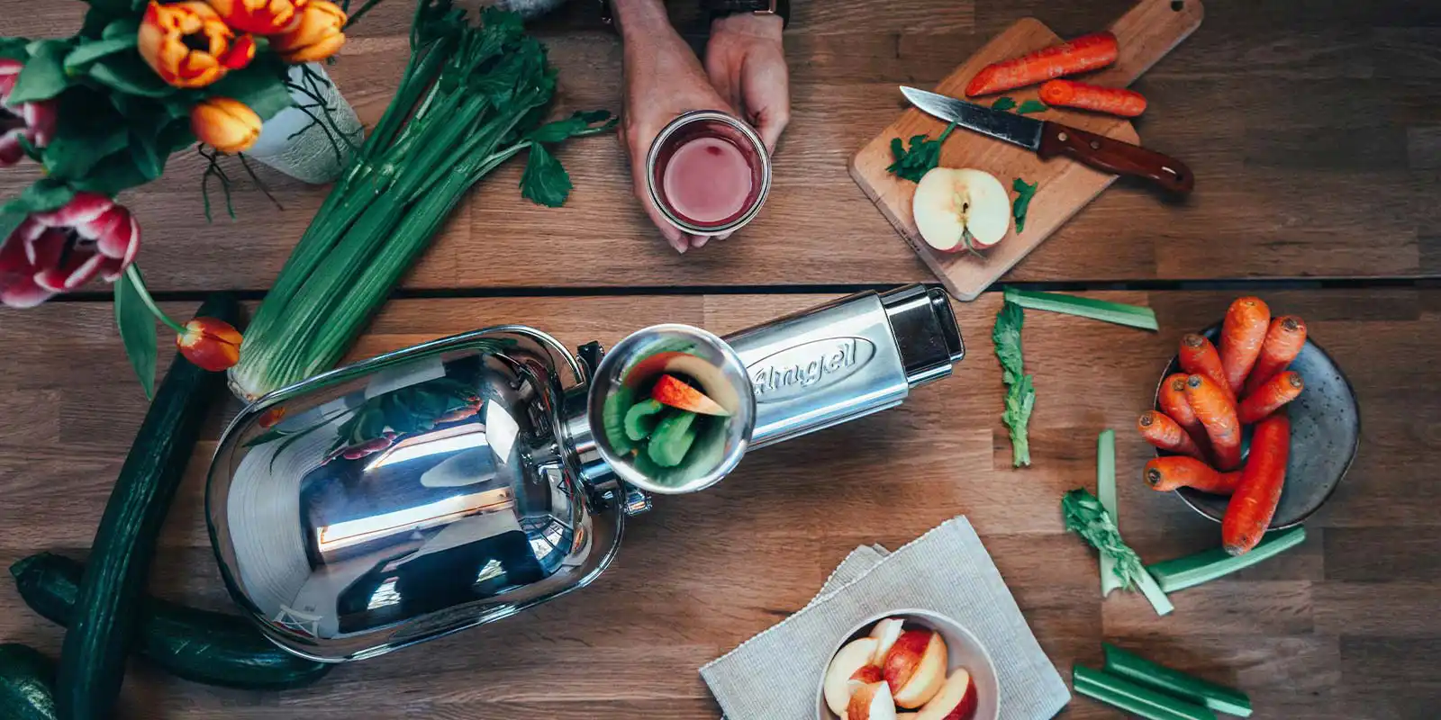 Angel Juicer Entsafter kaufen